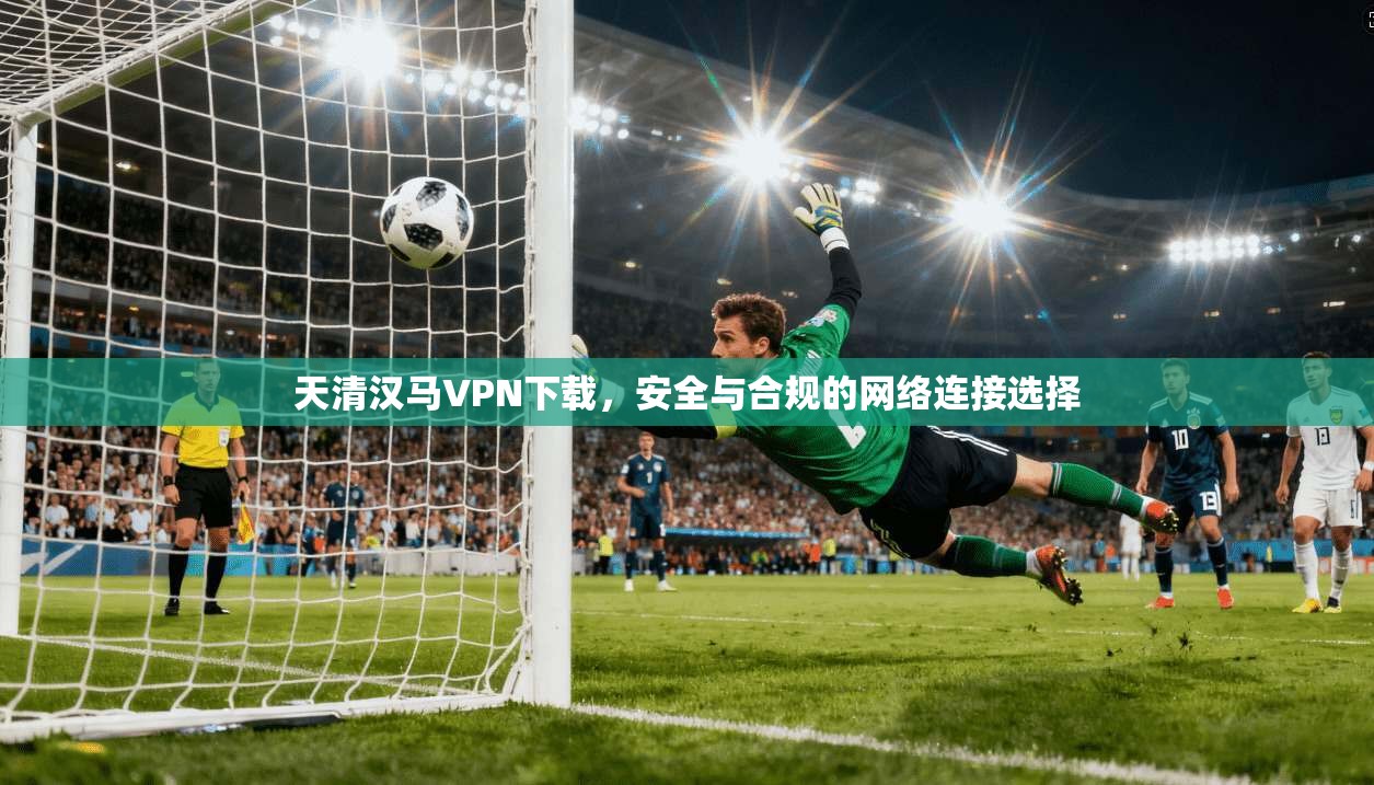 天清汉马VPN下载，安全与合规的网络连接选择