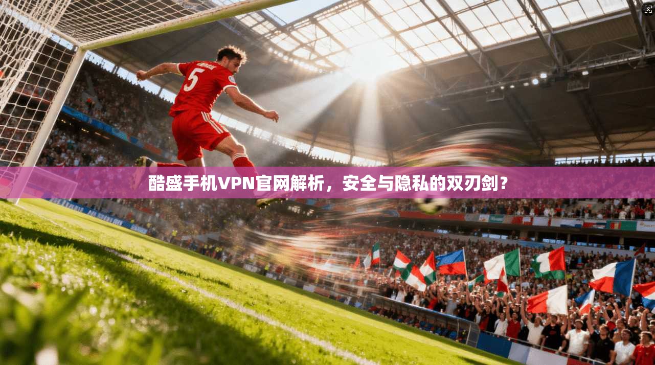 酷盛手机VPN官网解析，安全与隐私的双刃剑？