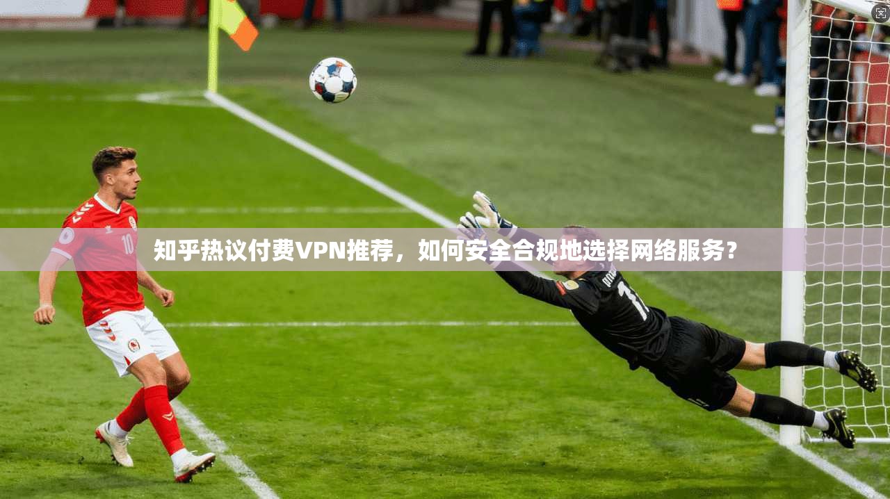 知乎热议付费VPN推荐，如何安全合规地选择网络服务？