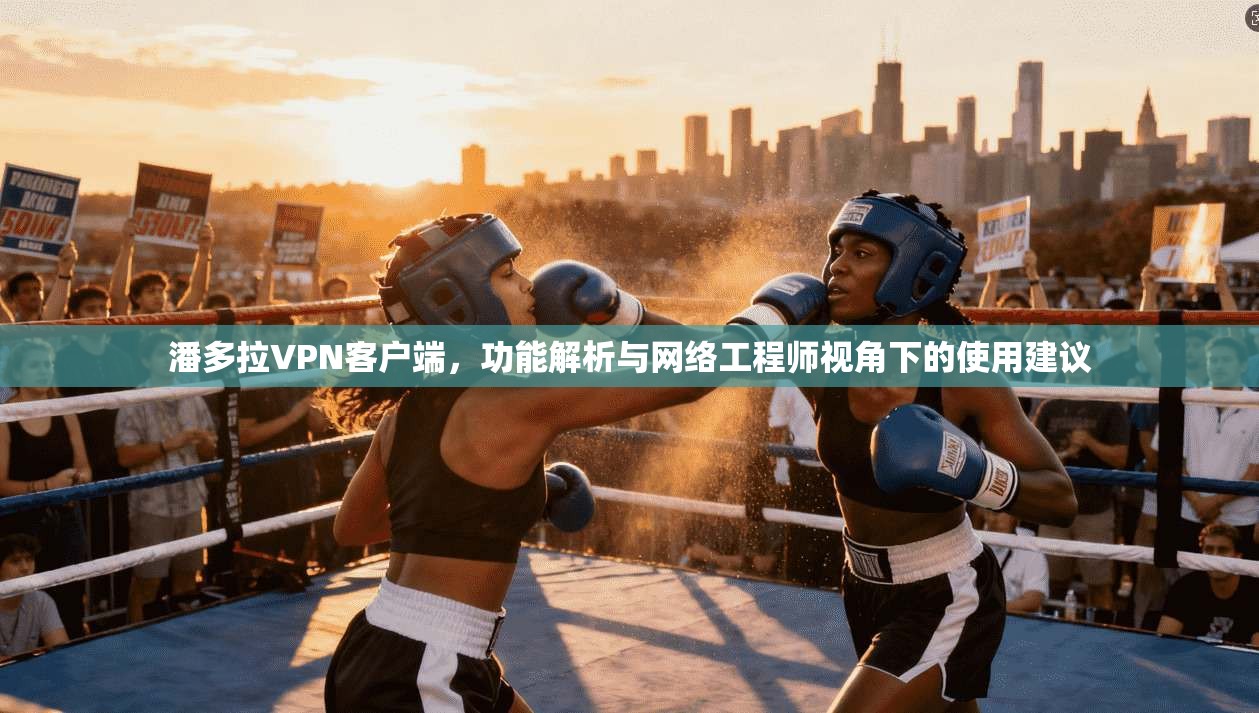 潘多拉VPN客户端，功能解析与网络工程师视角下的使用建议