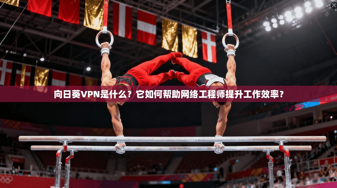 向日葵VPN是什么？它如何帮助网络工程师提升工作效率？