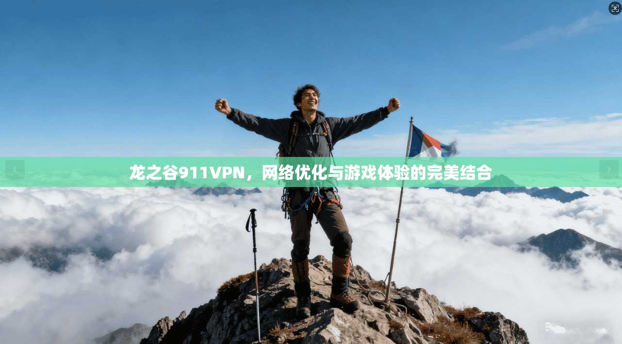 龙之谷911VPN，网络优化与游戏体验的完美结合
