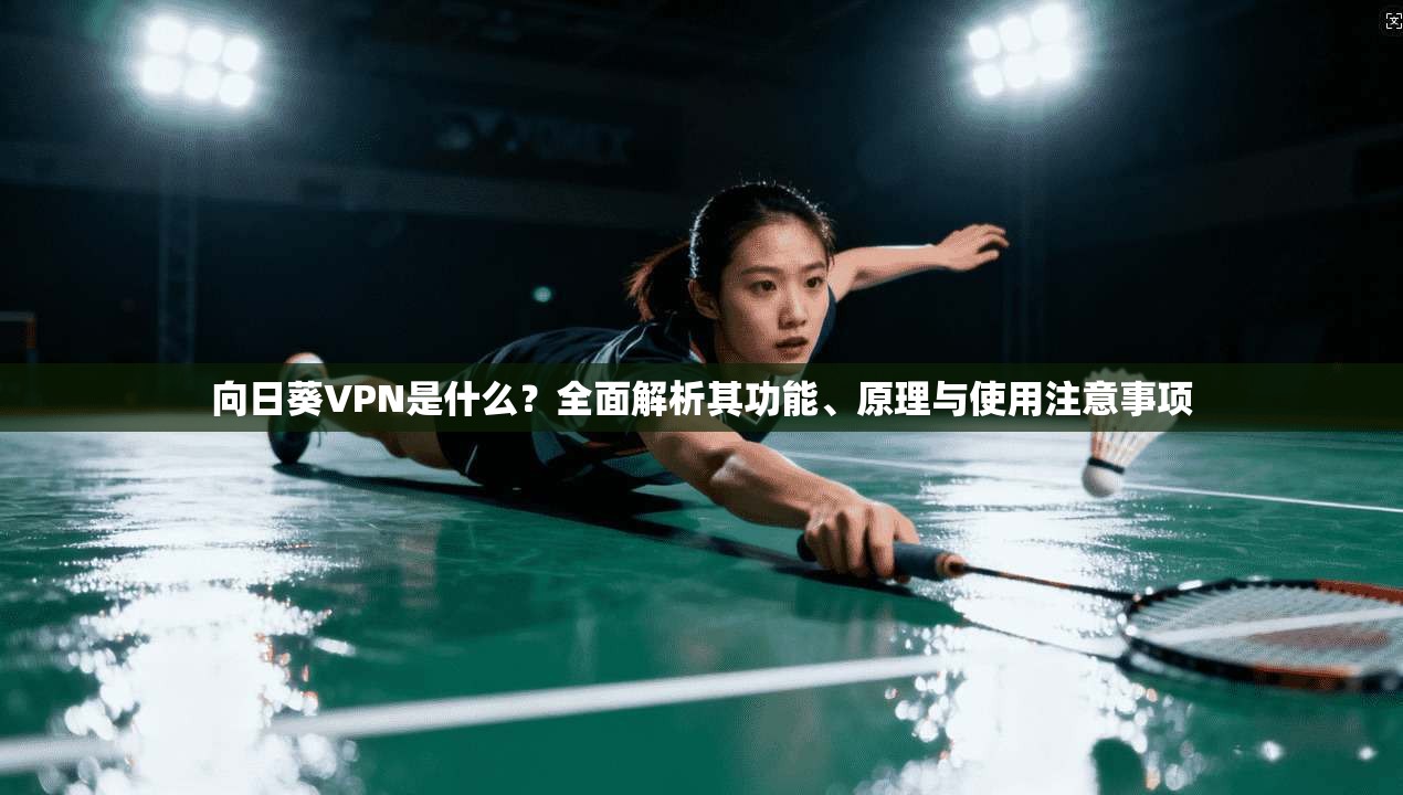 向日葵VPN是什么？全面解析其功能、原理与使用注意事项