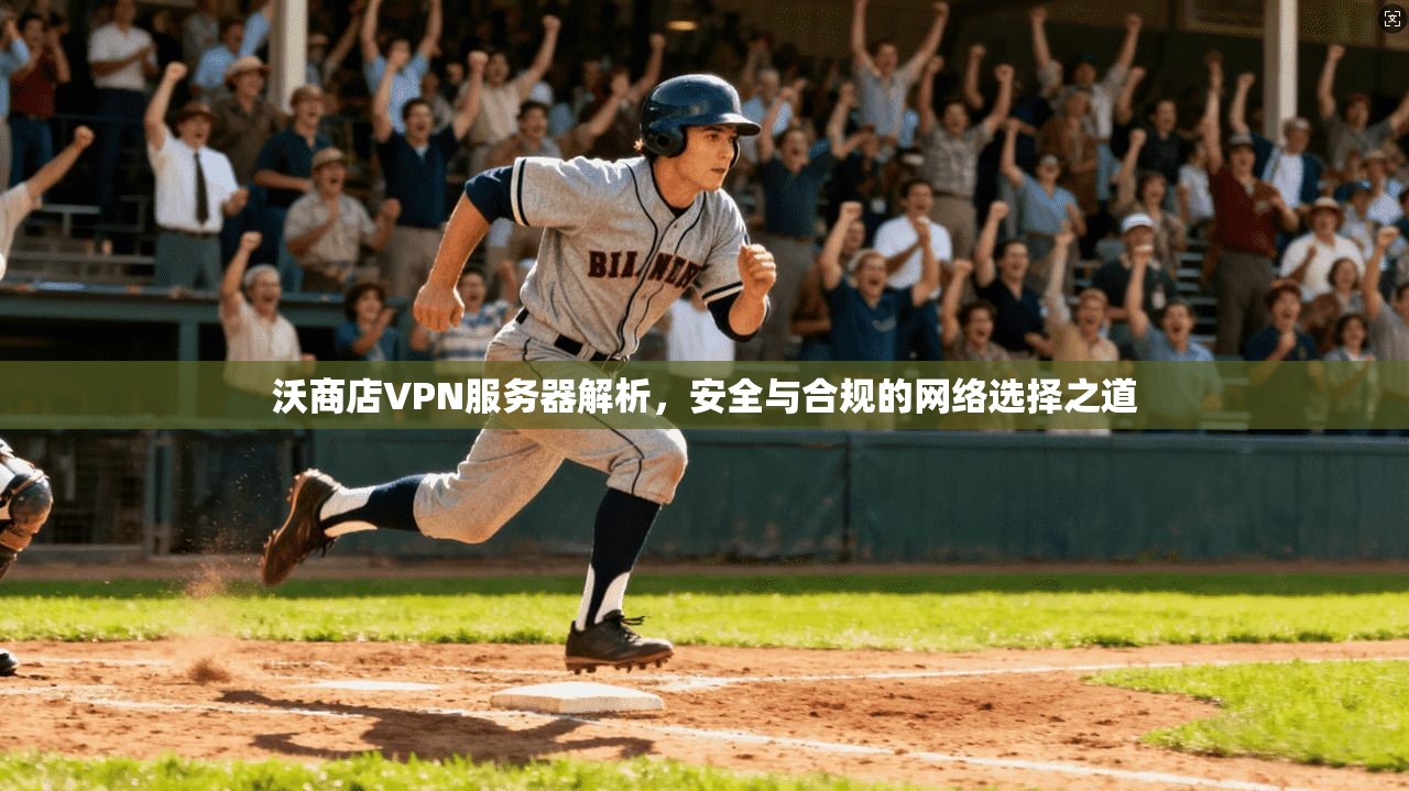 沃商店VPN服务器解析，安全与合规的网络选择之道