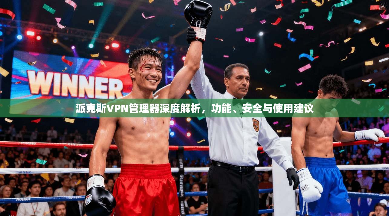 派克斯VPN管理器深度解析，功能、安全与使用建议