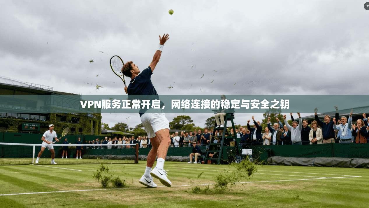 VPN服务正常开启，网络连接的稳定与安全之钥
