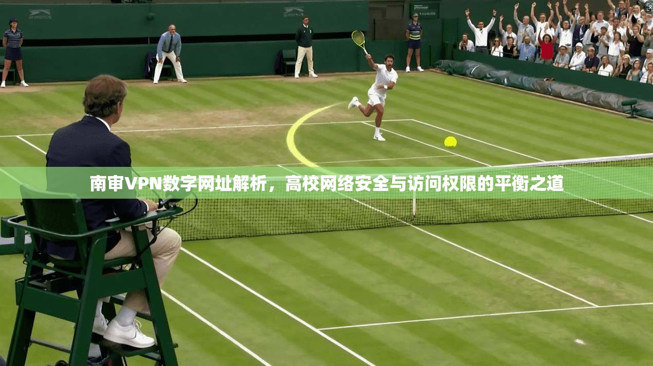 南审VPN数字网址解析，高校网络安全与访问权限的平衡之道