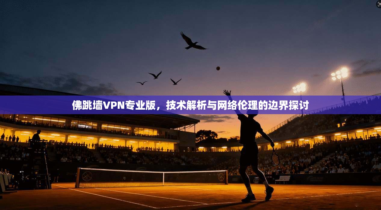 佛跳墙VPN专业版，技术解析与网络伦理的边界探讨