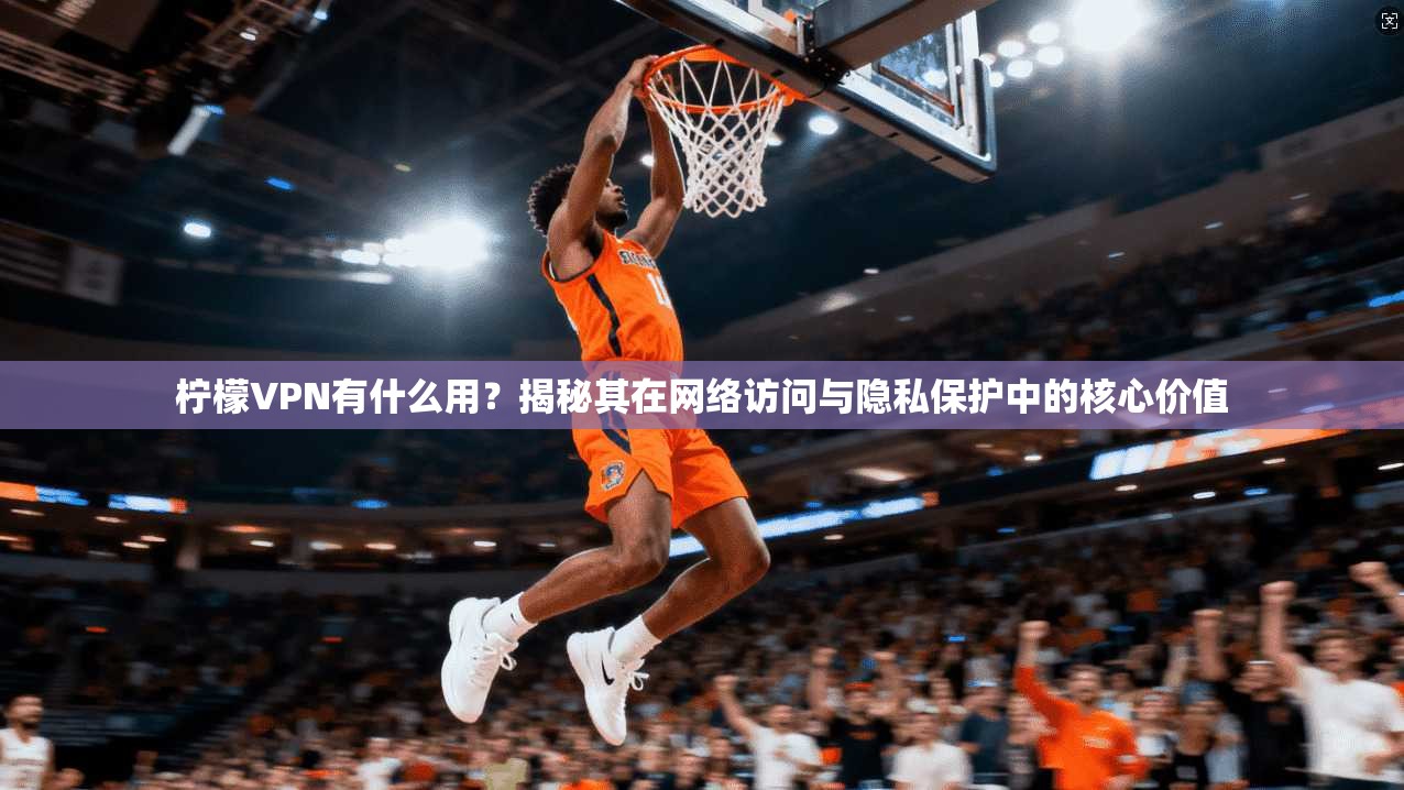 柠檬VPN有什么用？揭秘其在网络访问与隐私保护中的核心价值