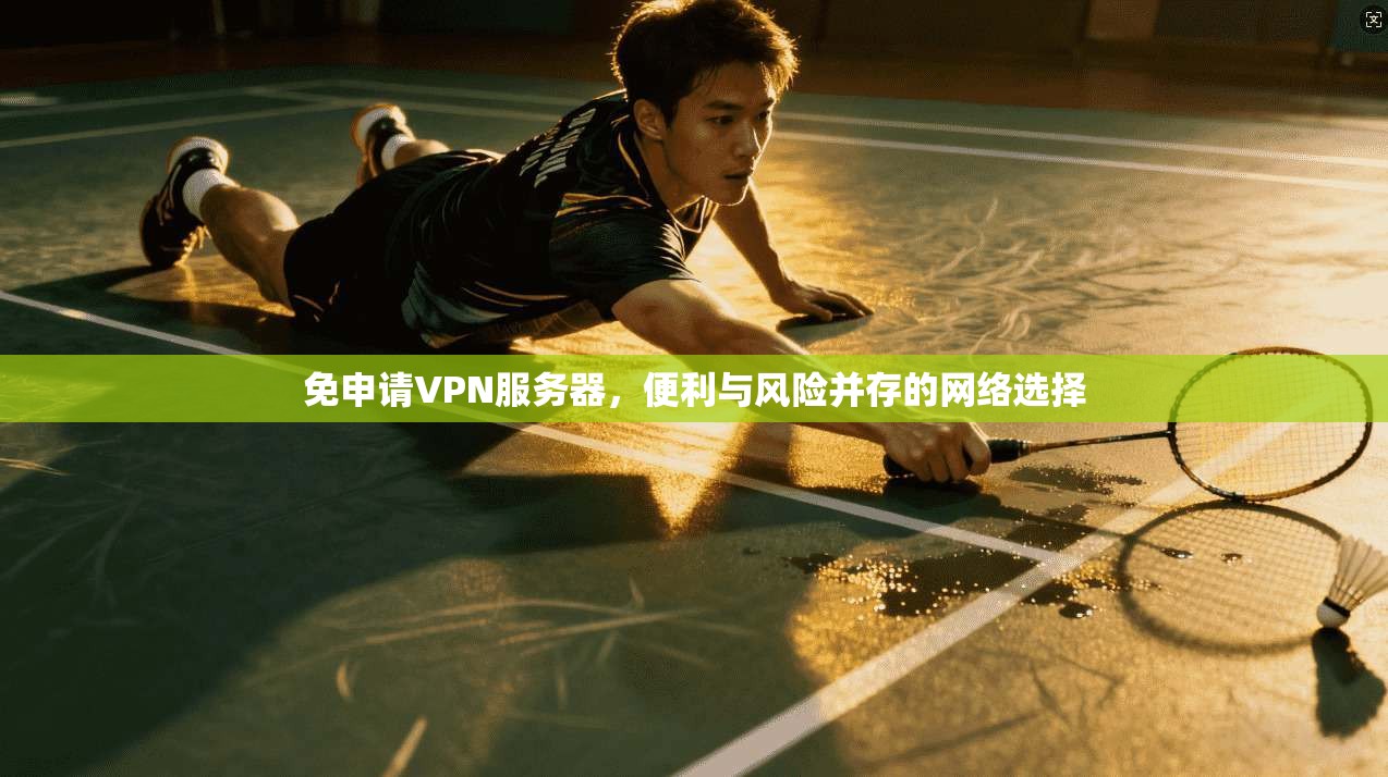 免申请VPN服务器，便利与风险并存的网络选择