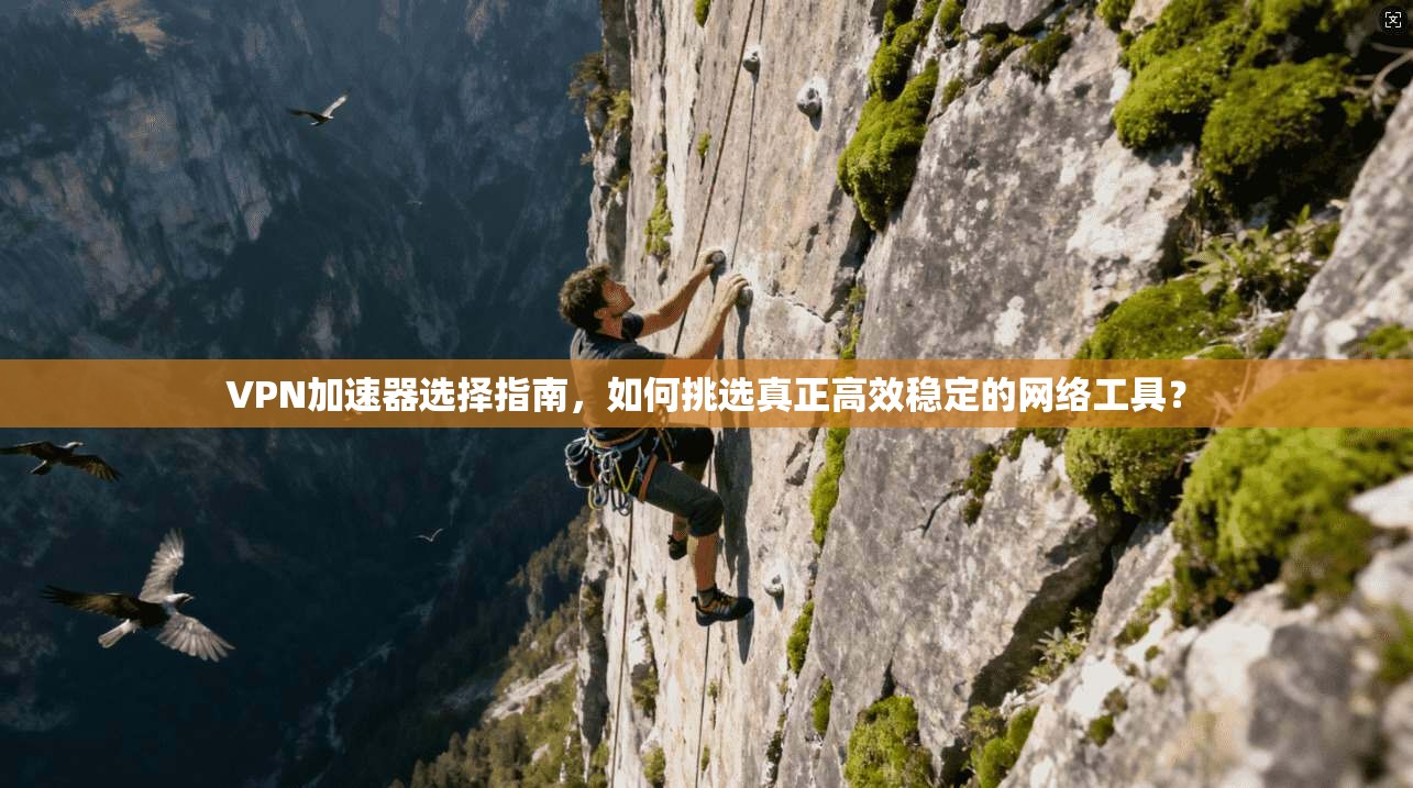 VPN加速器选择指南，如何挑选真正高效稳定的网络工具？