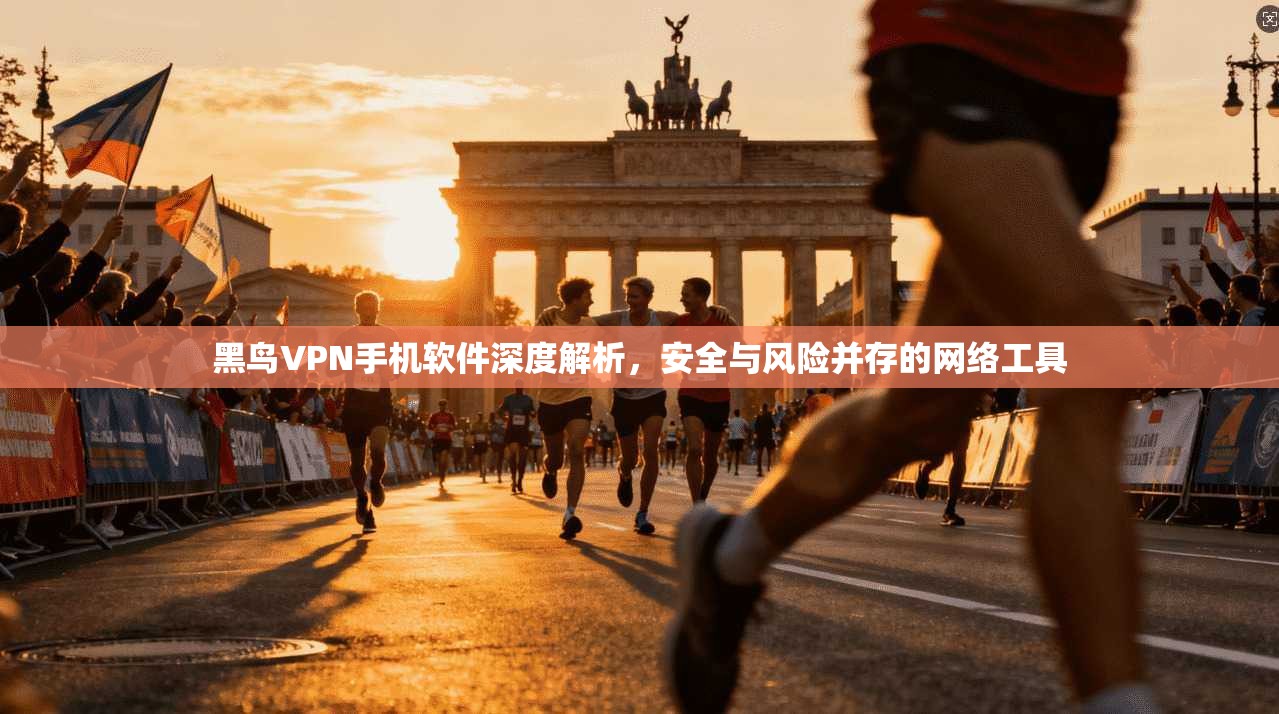 黑鸟VPN手机软件深度解析，安全与风险并存的网络工具