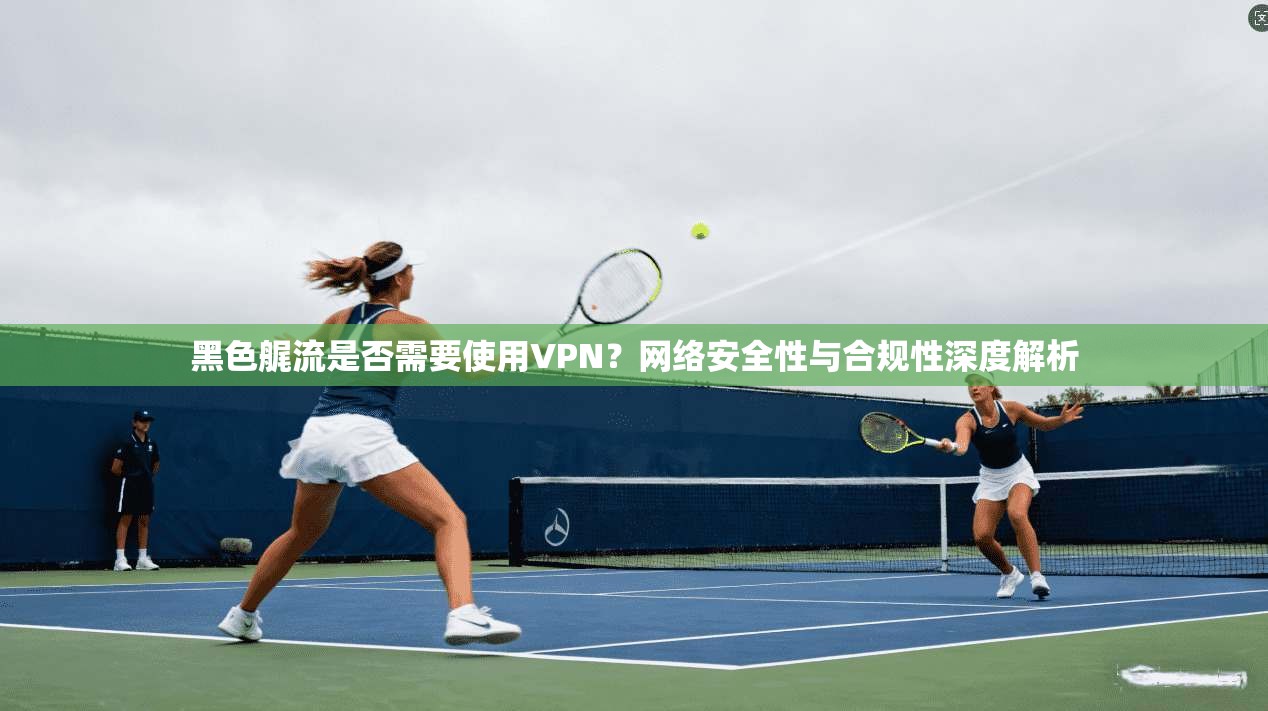 黑色艉流是否需要使用VPN？网络安全性与合规性深度解析