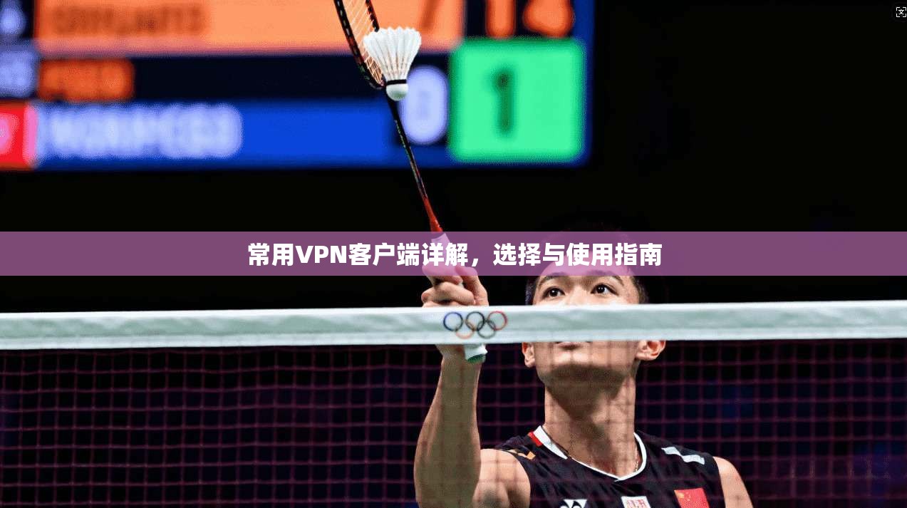 常用VPN客户端详解，选择与使用指南