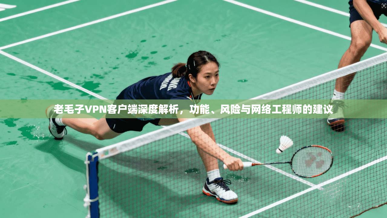 老毛子VPN客户端深度解析，功能、风险与网络工程师的建议