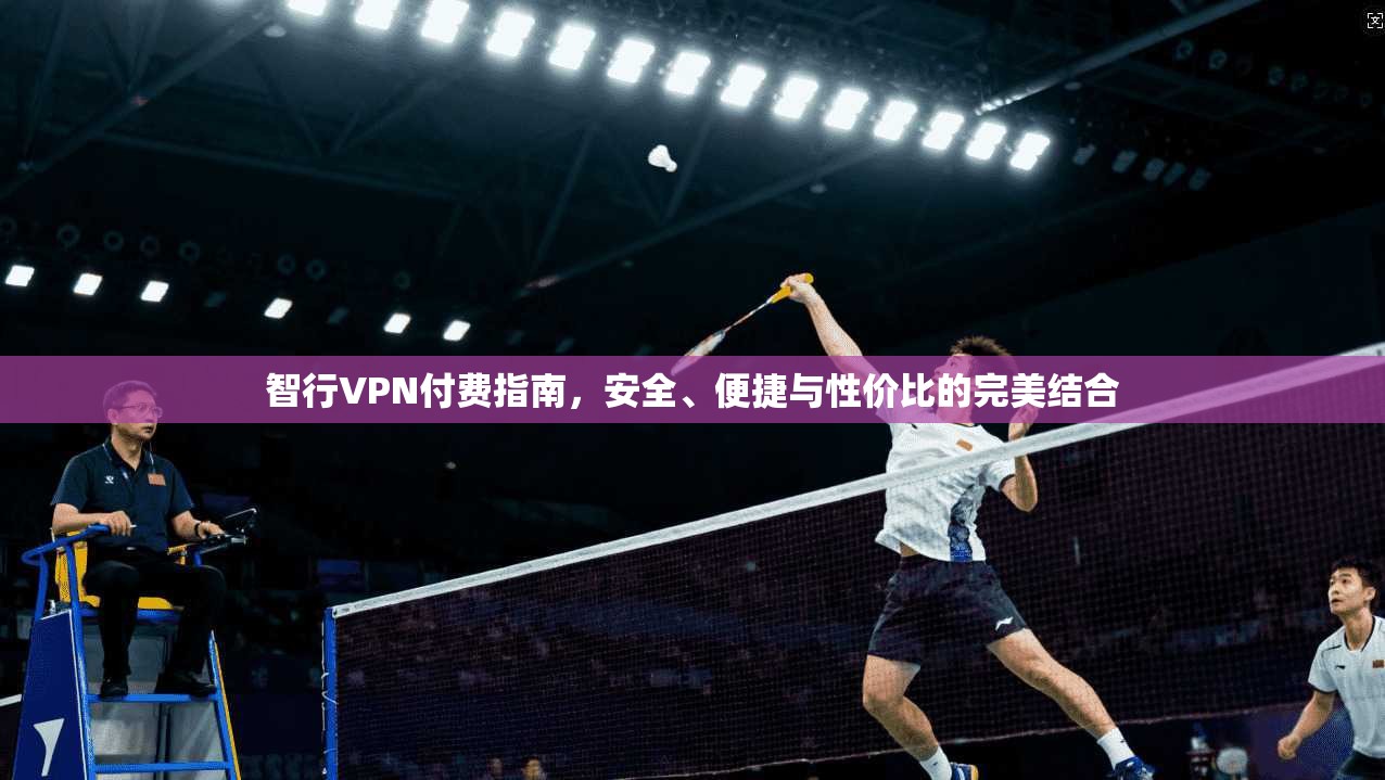 智行VPN付费指南，安全、便捷与性价比的完美结合