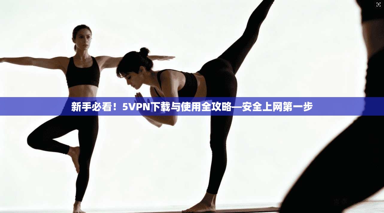 新手必看！5VPN下载与使用全攻略—安全上网第一步