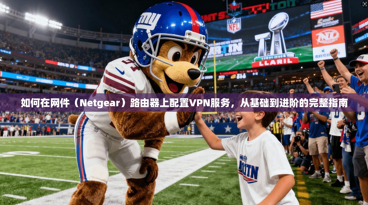 如何在网件（Netgear）路由器上配置VPN服务，从基础到进阶的完整指南