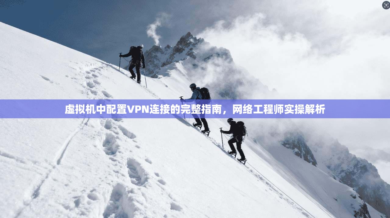 虚拟机中配置VPN连接的完整指南，网络工程师实操解析