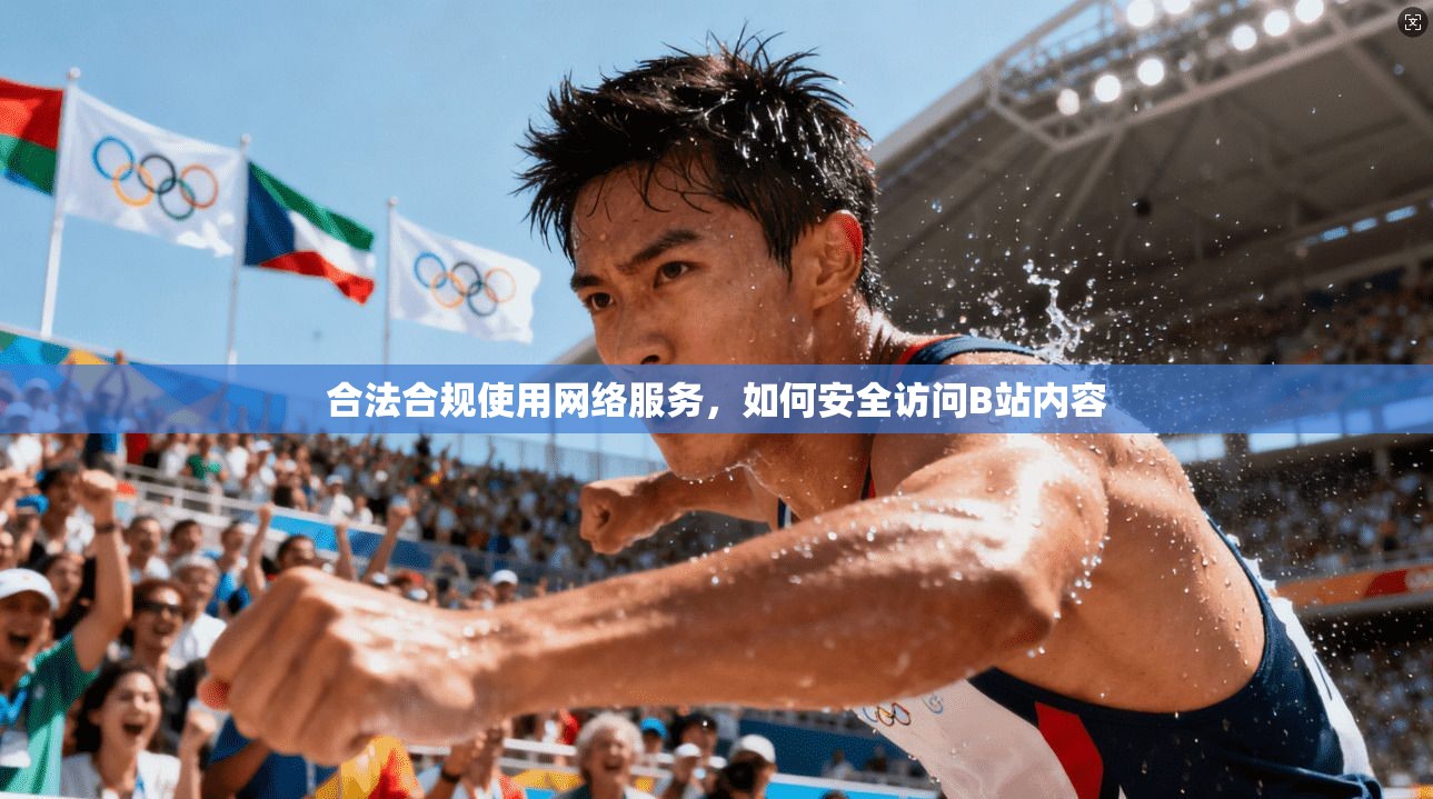 合法合规使用网络服务，如何安全访问B站内容