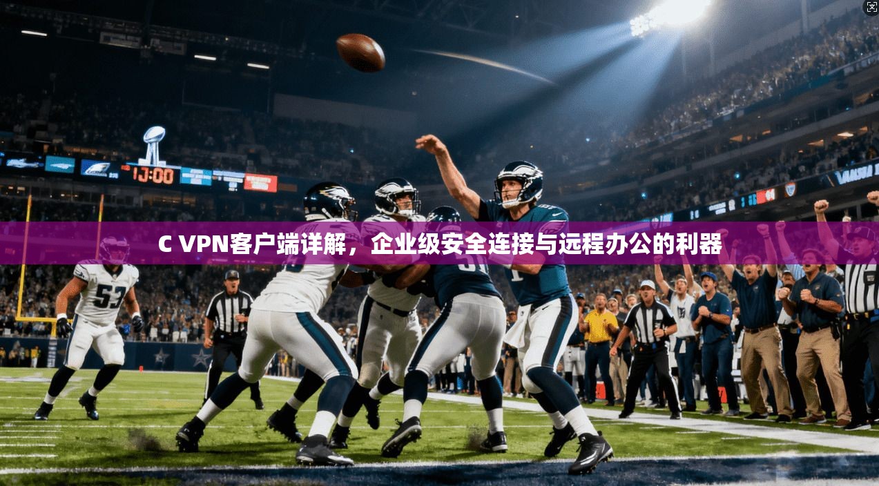 C VPN客户端详解，企业级安全连接与远程办公的利器