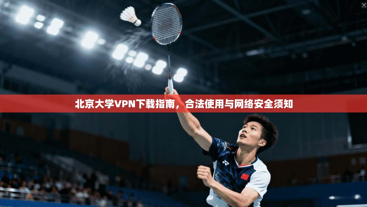 北京大学VPN下载指南，合法使用与网络安全须知