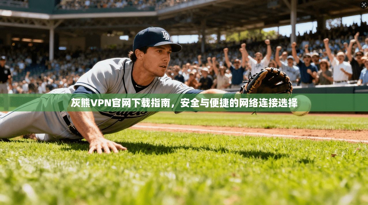 灰熊VPN官网下载指南，安全与便捷的网络连接选择