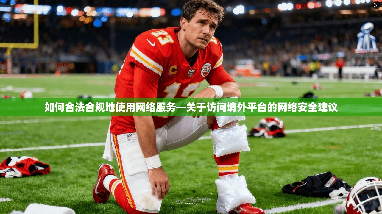 如何合法合规地使用网络服务—关于访问境外平台的网络安全建议
