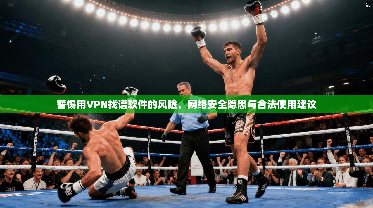 警惕用VPN找谱软件的风险，网络安全隐患与合法使用建议