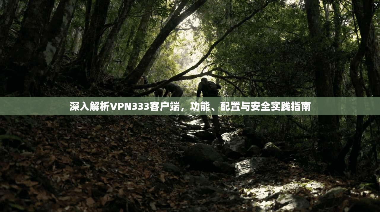 深入解析VPN333客户端，功能、配置与安全实践指南
