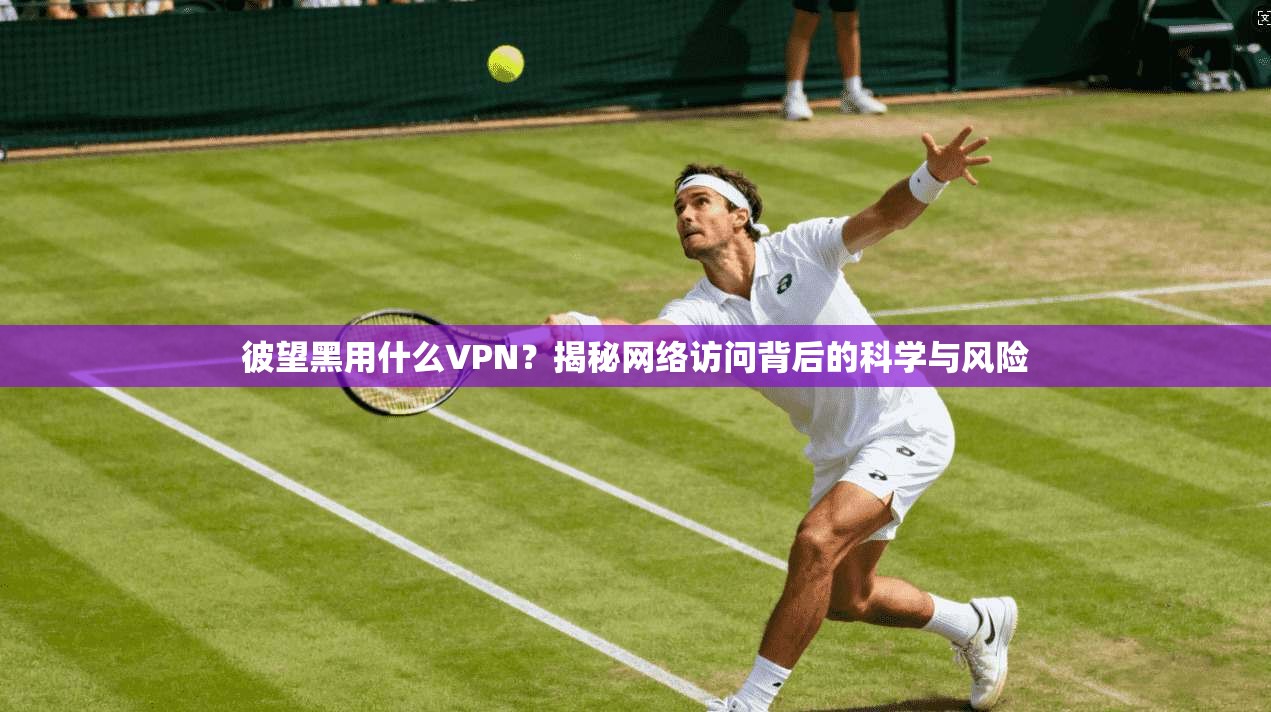 彼望黑用什么VPN？揭秘网络访问背后的科学与风险