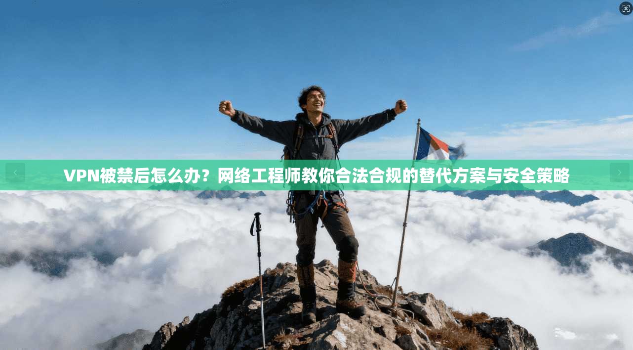 VPN被禁后怎么办？网络工程师教你合法合规的替代方案与安全策略