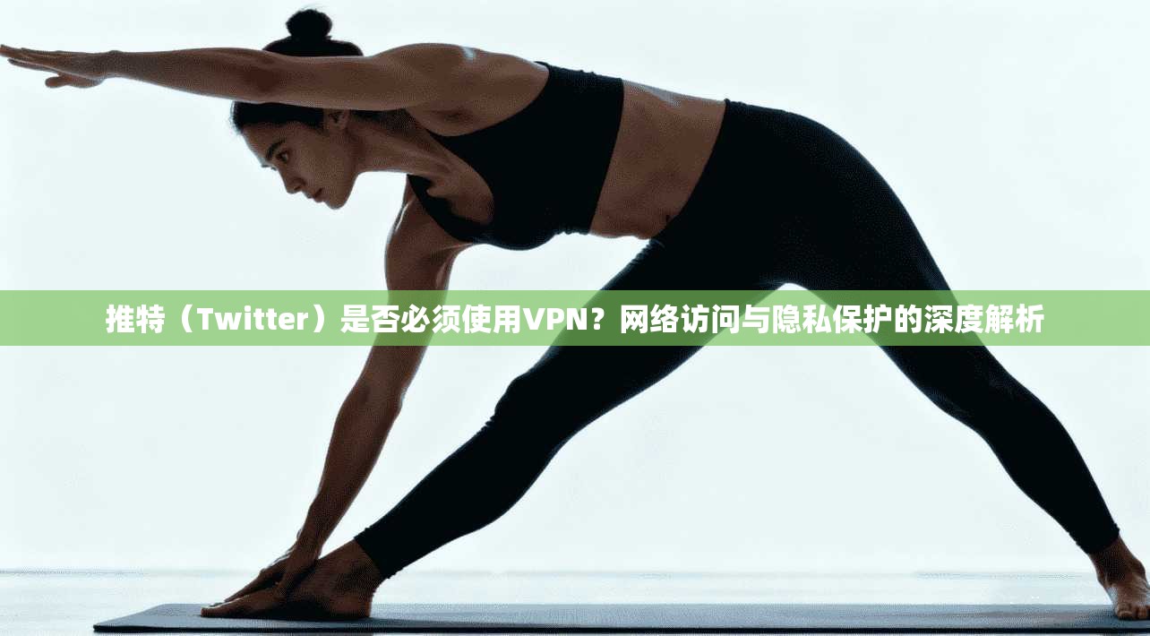 推特（Twitter）是否必须使用VPN？网络访问与隐私保护的深度解析