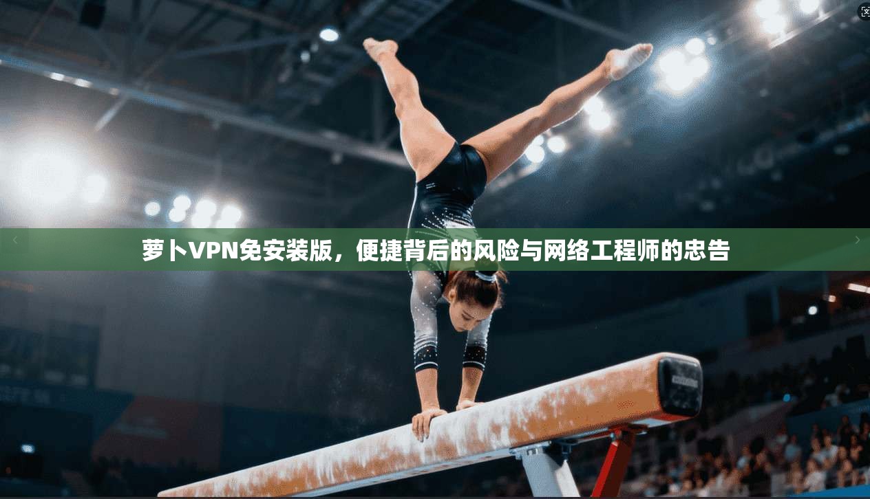 萝卜VPN免安装版，便捷背后的风险与网络工程师的忠告