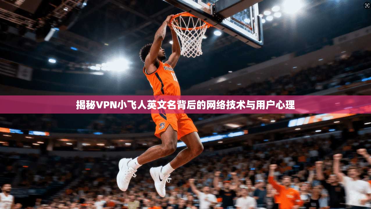 揭秘VPN小飞人英文名背后的网络技术与用户心理