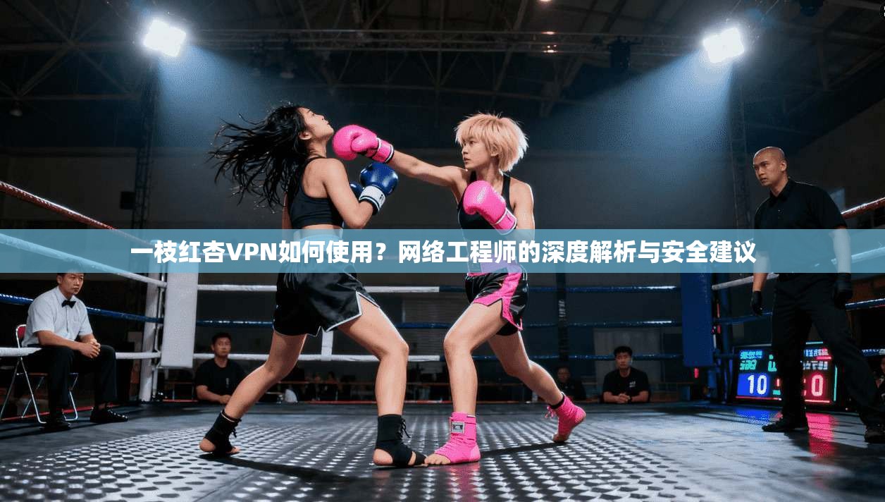 一枝红杏VPN如何使用？网络工程师的深度解析与安全建议