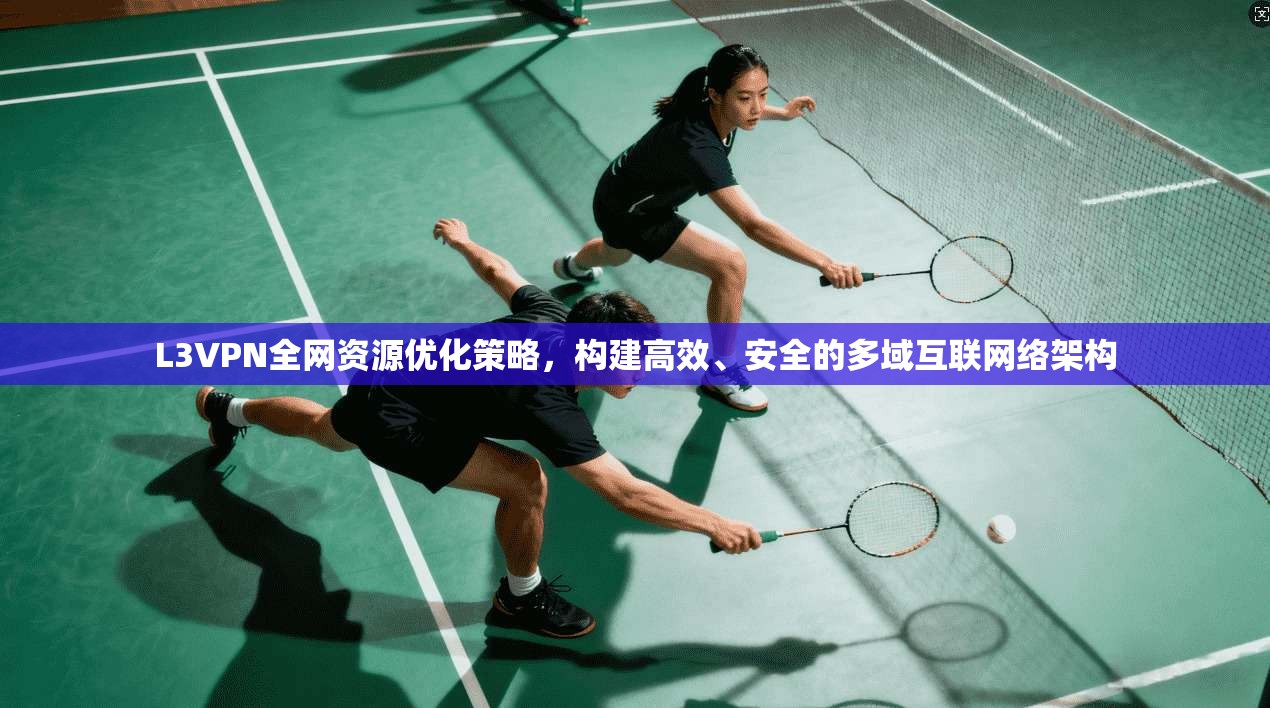 L3VPN全网资源优化策略，构建高效、安全的多域互联网络架构