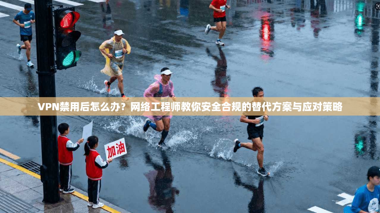 VPN禁用后怎么办？网络工程师教你安全合规的替代方案与应对策略