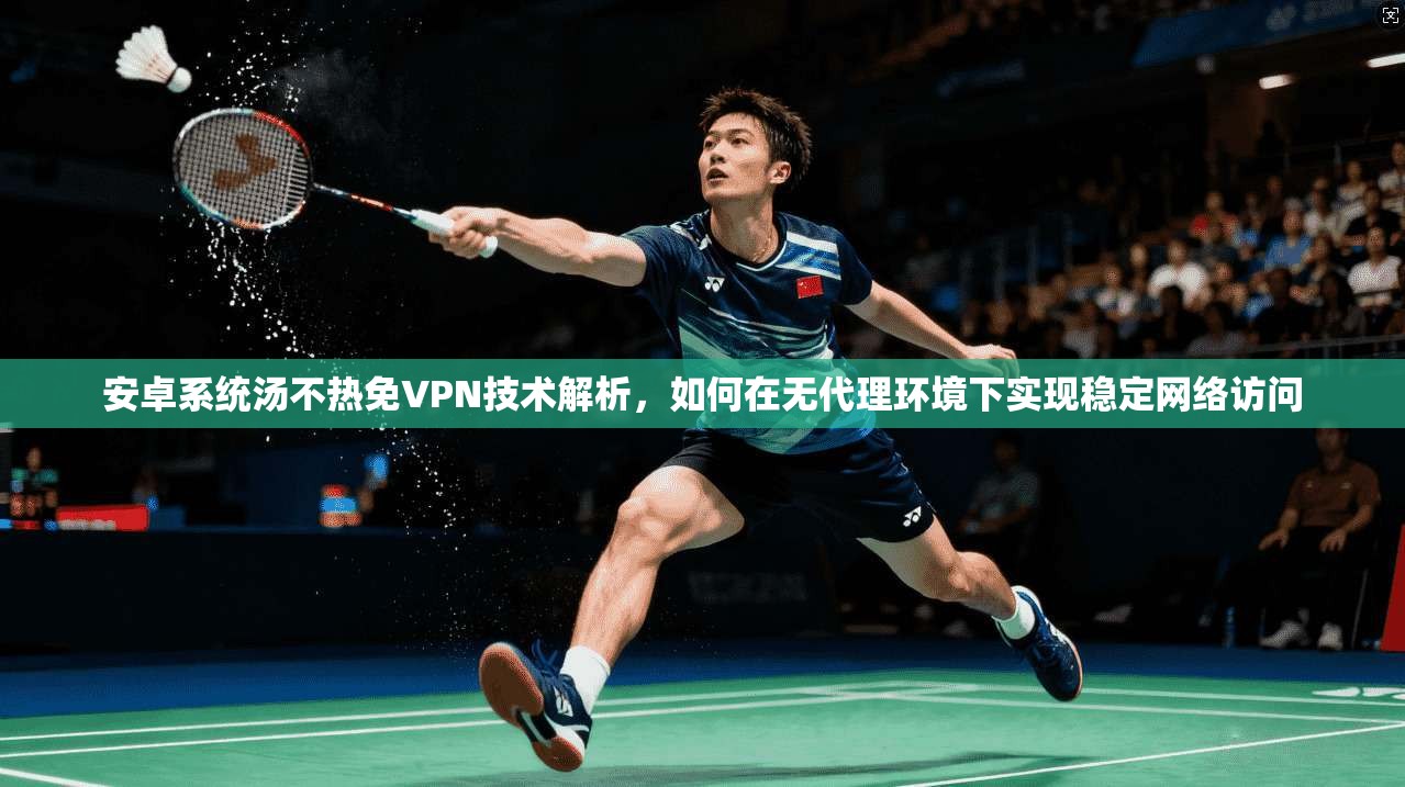 安卓系统汤不热免VPN技术解析，如何在无代理环境下实现稳定网络访问