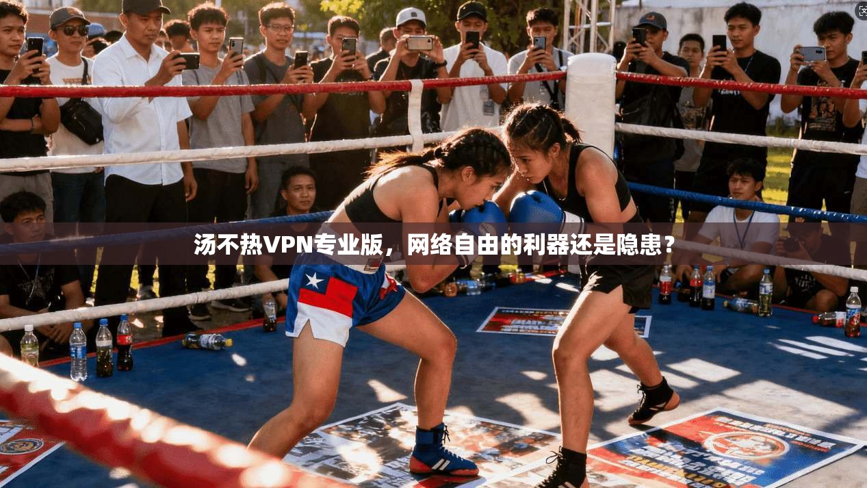 汤不热VPN专业版，网络自由的利器还是隐患？