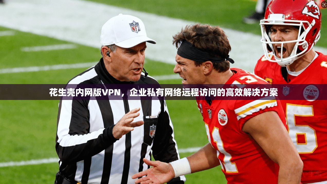 花生壳内网版VPN，企业私有网络远程访问的高效解决方案