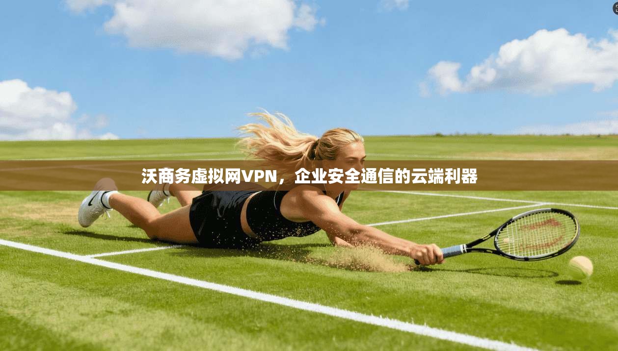 沃商务虚拟网VPN，企业安全通信的云端利器