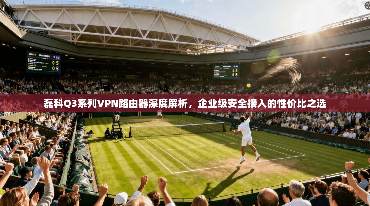 磊科Q3系列VPN路由器深度解析，企业级安全接入的性价比之选