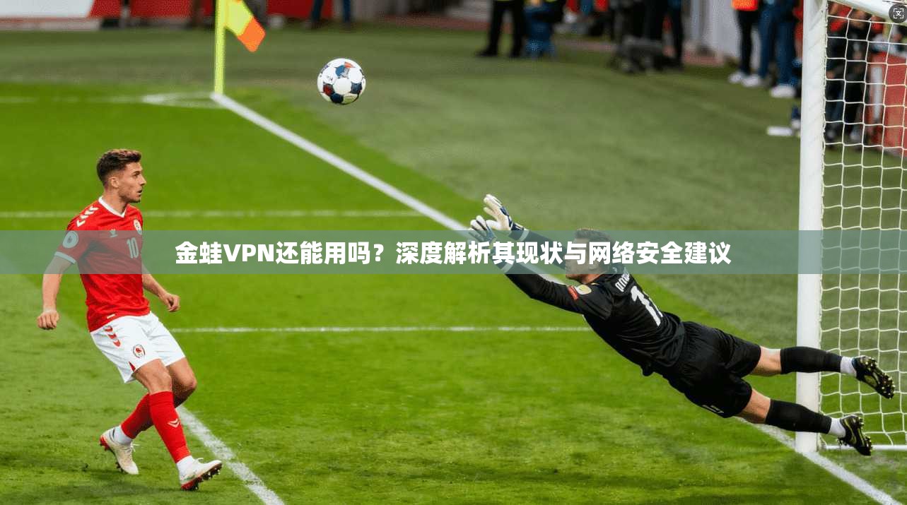 金蛙VPN还能用吗？深度解析其现状与网络安全建议