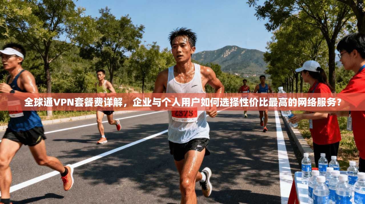 全球通VPN套餐费详解，企业与个人用户如何选择性价比最高的网络服务？