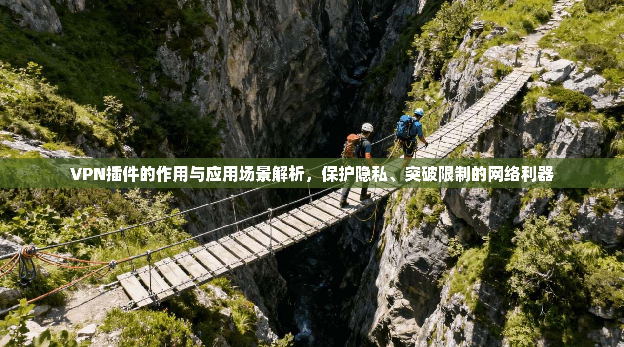 VPN插件的作用与应用场景解析，保护隐私、突破限制的网络利器