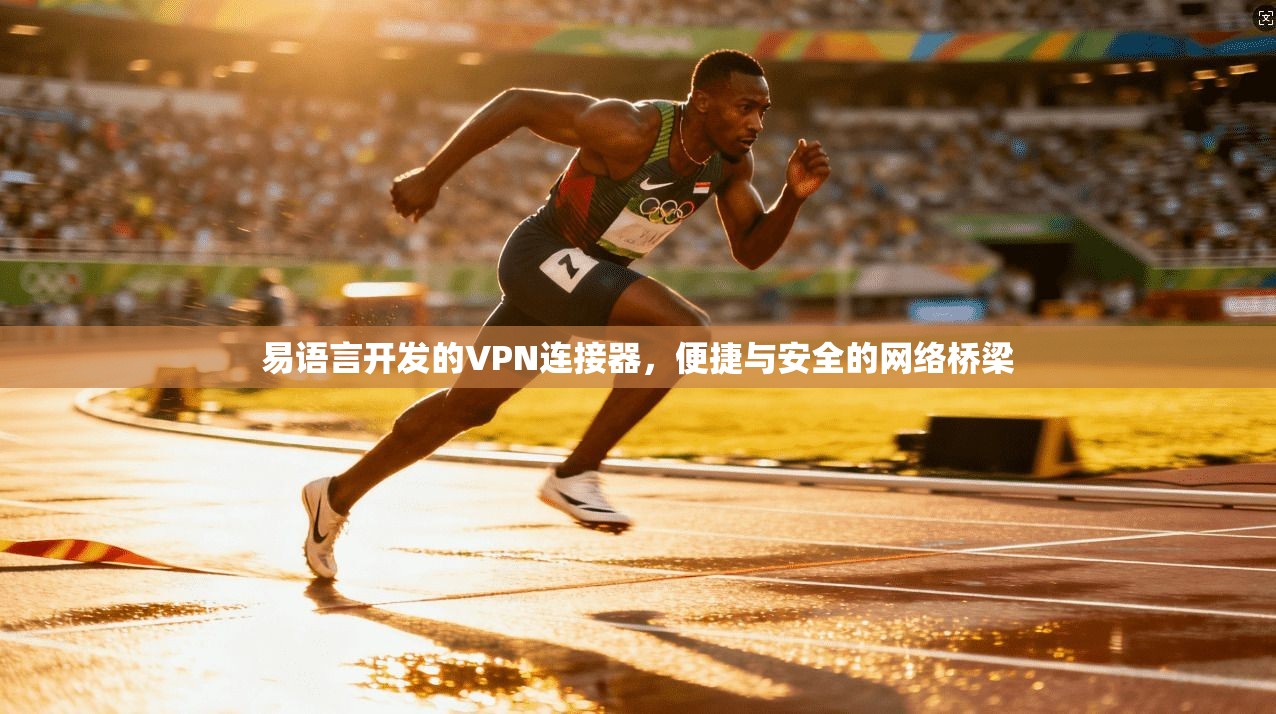 易语言开发的VPN连接器，便捷与安全的网络桥梁