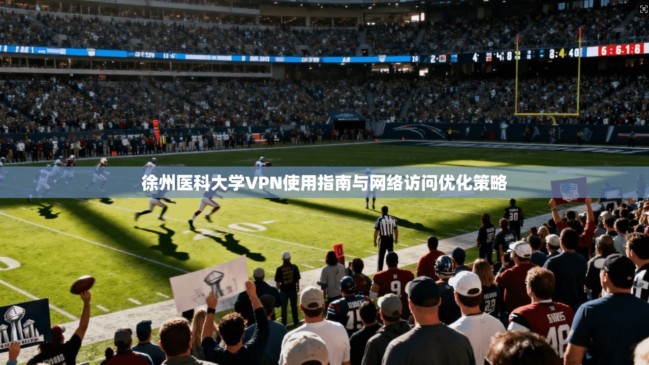 徐州医科大学VPN使用指南与网络访问优化策略