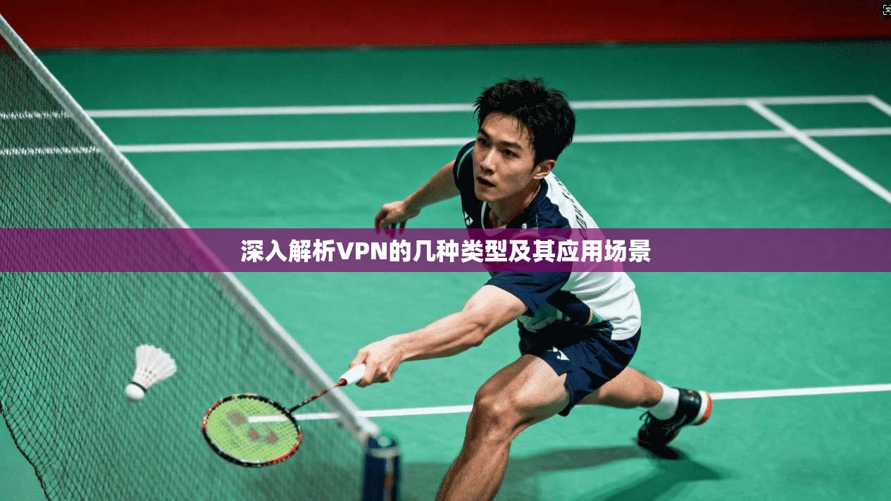 深入解析VPN的几种类型及其应用场景