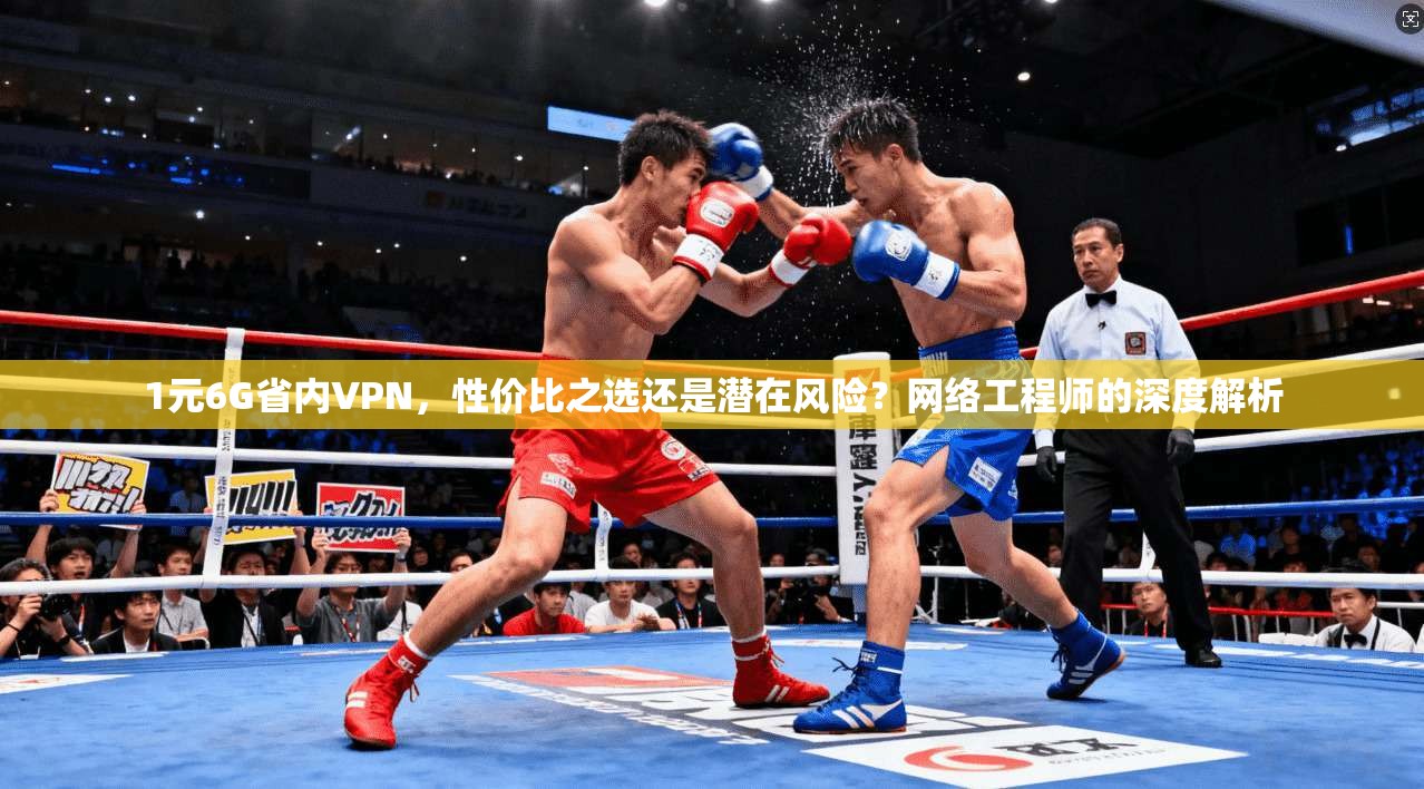 1元6G省内VPN，性价比之选还是潜在风险？网络工程师的深度解析